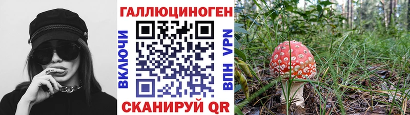 Галлюциногенные грибы Magic Shrooms  Купить  Аша 